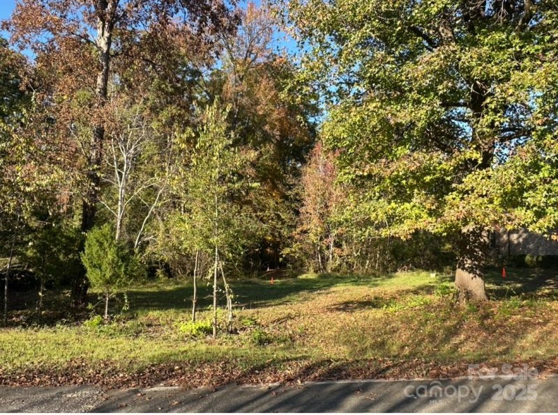Property image 3 at 255 Heritage Boulevard, Fort Mill, SC 29715