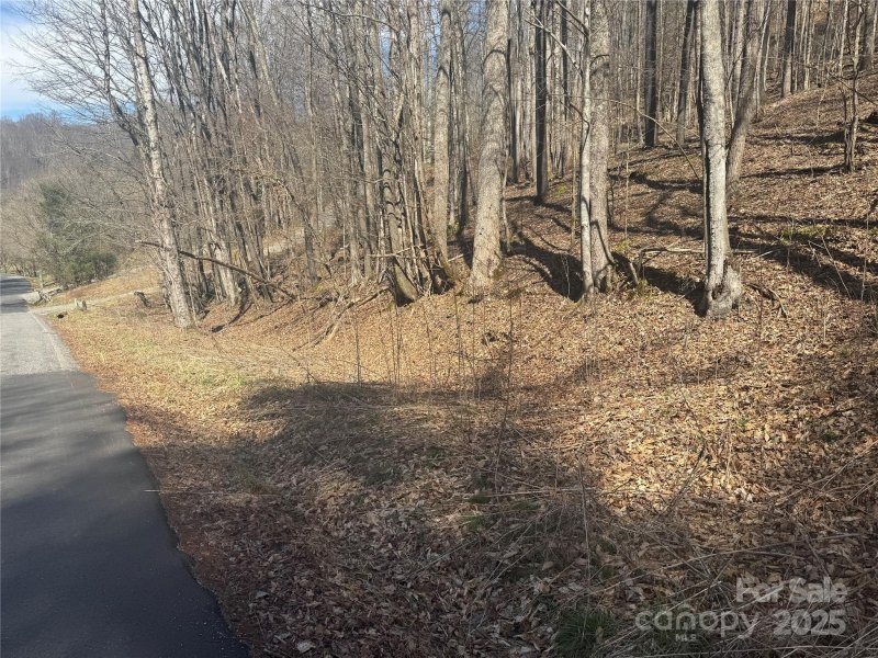 Property image 5 at 14 Lower Trillium Lane, Mars Hill, NC 28754