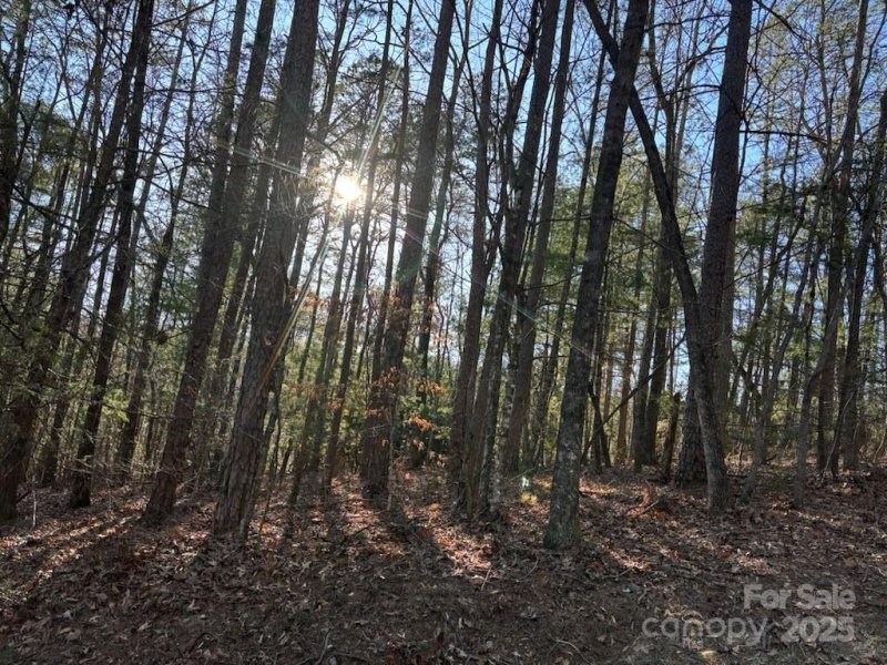 Property image 2 at 162 Bear Landing Drive, Hendersonville, NC 28792