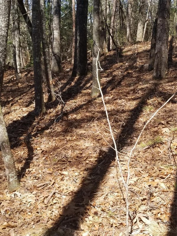 Property image 4 at 162 Bear Landing Drive, Hendersonville, NC 28792