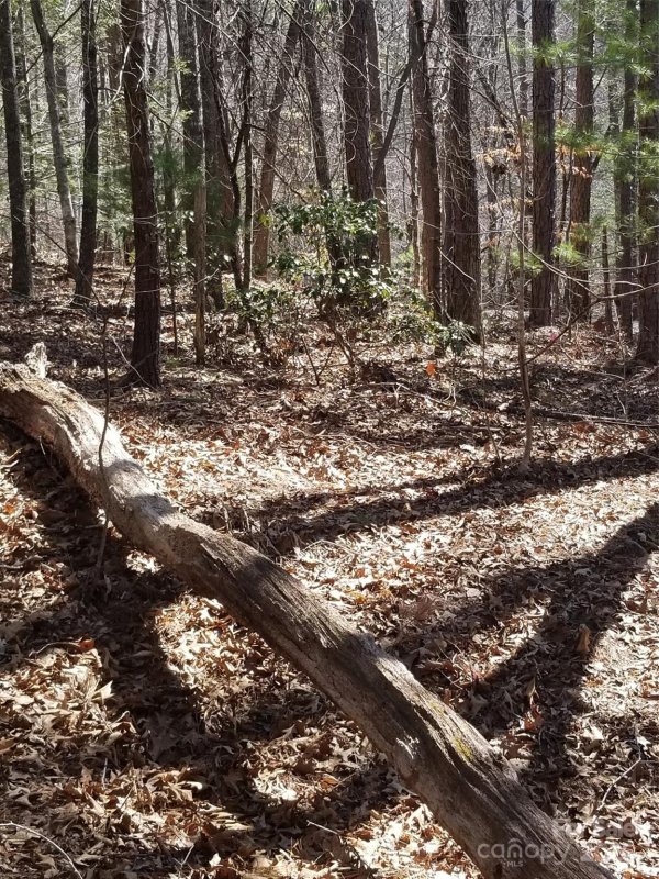 Property image 5 at 162 Bear Landing Drive, Hendersonville, NC 28792