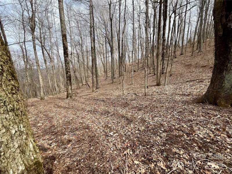 Property image 2 of Tbd Alderfly Court in Mountain Brook Estates, Spruce Pine, NC 28777