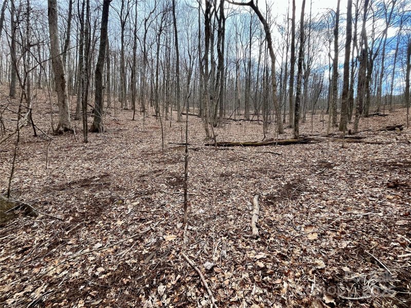 Property image 3 of Tbd Alderfly Court in Mountain Brook Estates, Spruce Pine, NC 28777