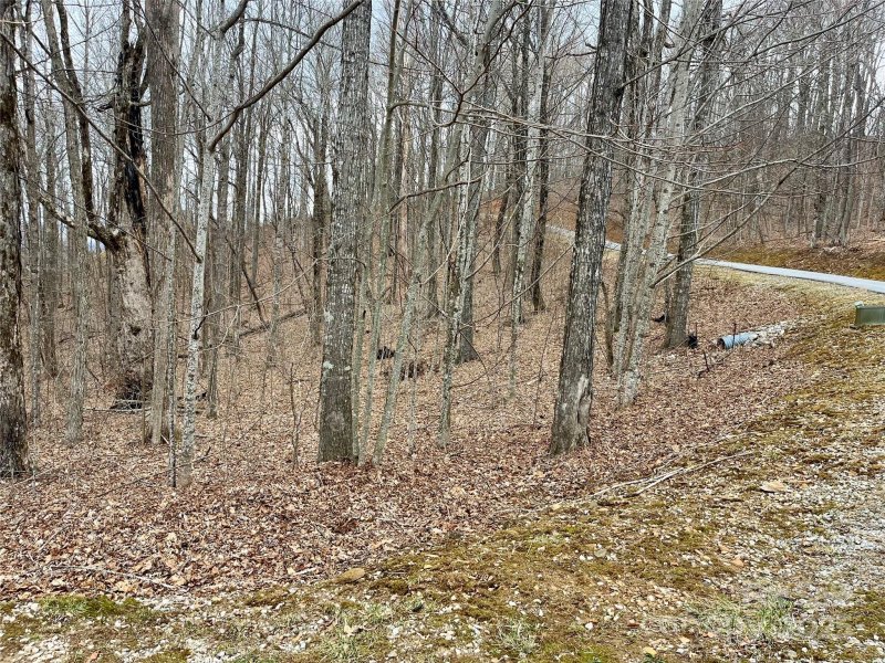 Property image 4 of Tbd Alderfly Court in Mountain Brook Estates, Spruce Pine, NC 28777