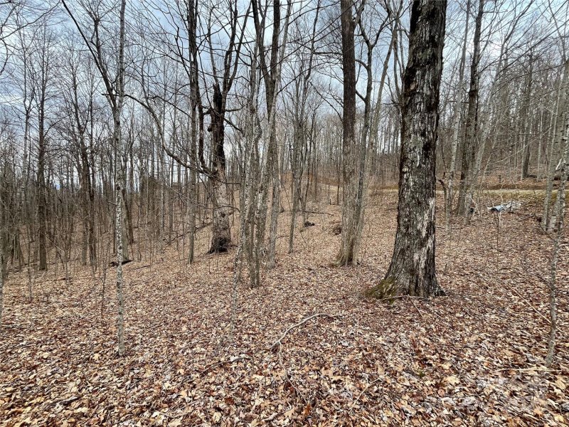 Property image 5 of Tbd Alderfly Court in Mountain Brook Estates, Spruce Pine, NC 28777