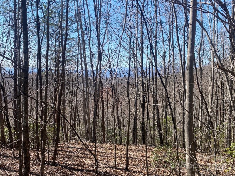 Property image 3 of Lot 72 Mountain Crest Drive in Grants Mountain Estates, Marion, NC 28752