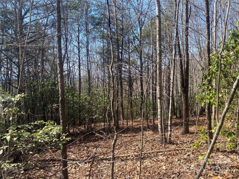 Property image 5 of Lot 72 Mountain Crest Drive in Grants Mountain Estates, Marion, NC 28752