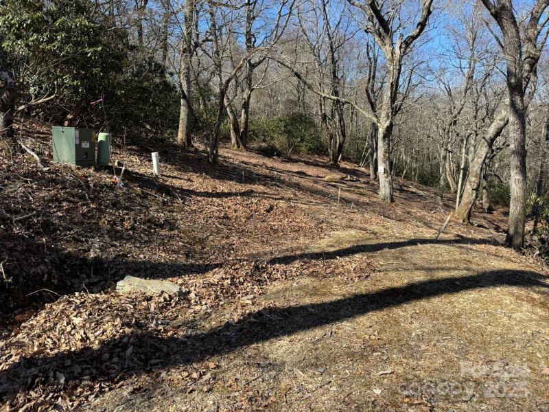 Property image 2 of Lot 240 Thunder Wood Trail in Firethorn, Blowing Rock, NC 28605