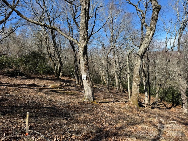 Property image 3 of Lot 240 Thunder Wood Trail in Firethorn, Blowing Rock, NC 28605
