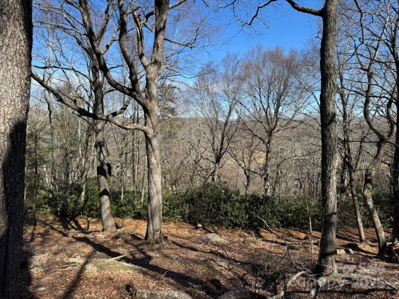 Property image 4 of Lot 240 Thunder Wood Trail in Firethorn, Blowing Rock, NC 28605