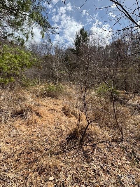 Property image 2 of 25 Green Meadow Lane in Dogwood Heights, Mars Hill, NC 28754