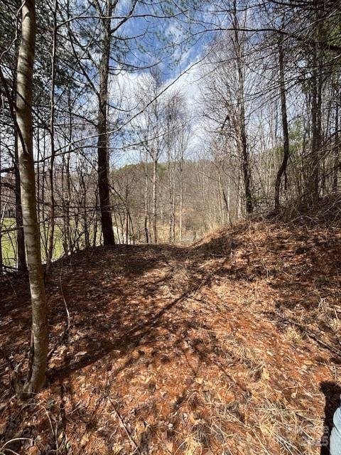 Property image 3 of 25 Green Meadow Lane in Dogwood Heights, Mars Hill, NC 28754