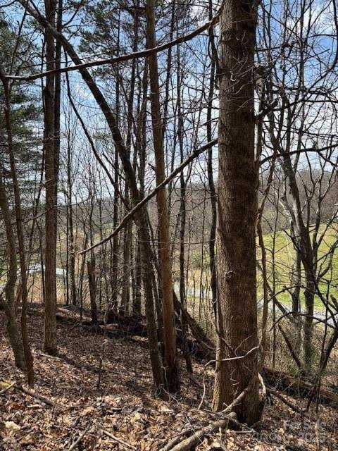 Property image 4 of 25 Green Meadow Lane in Dogwood Heights, Mars Hill, NC 28754