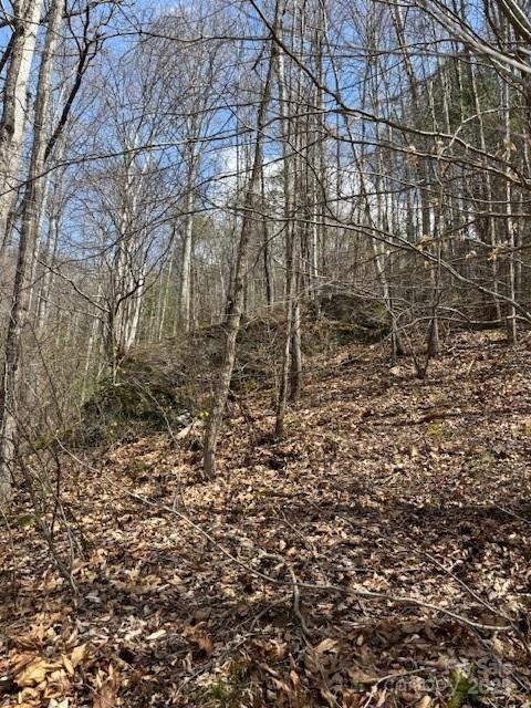 Property image 5 of 25 Green Meadow Lane in Dogwood Heights, Mars Hill, NC 28754