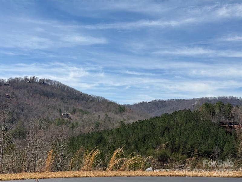 Property image 2 of 0 Pinegrove Drive in South Mountain Peaks, Bostic, NC 28018