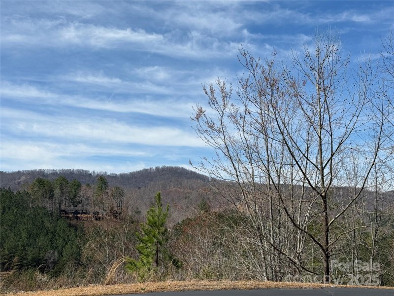 Property image 3 of 0 Pinegrove Drive in South Mountain Peaks, Bostic, NC 28018