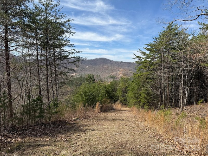 Property image 5 of 0 Pinegrove Drive in South Mountain Peaks, Bostic, NC 28018
