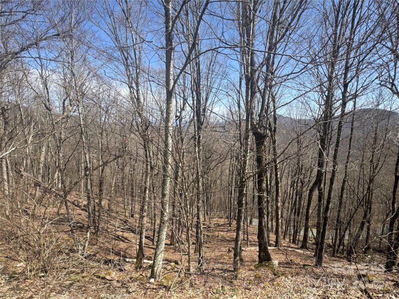 14 16 Overlook Drive