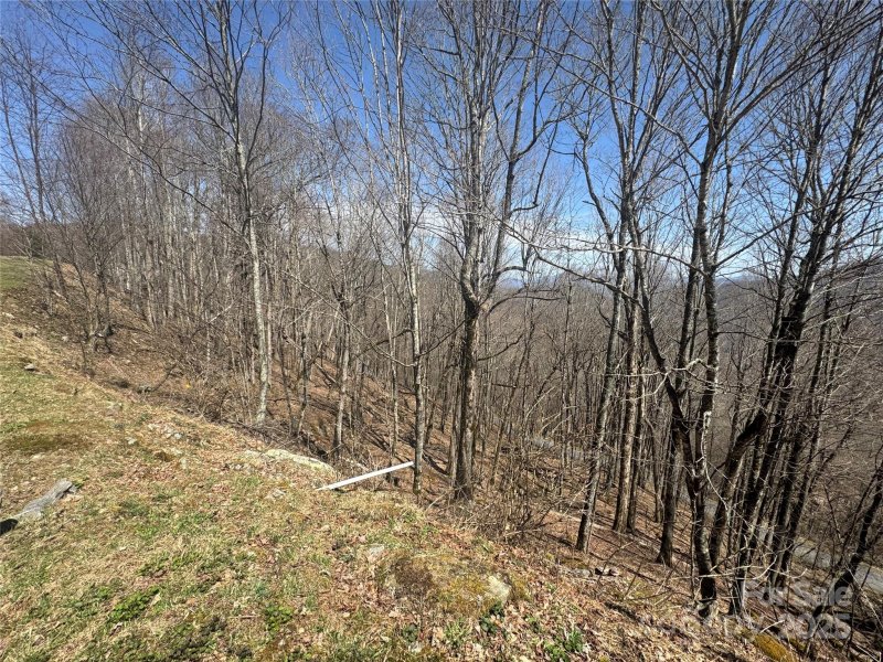 Property image 2 of 14 16 Overlook Drive in Wolf Laurel, Mars Hill, NC 28754