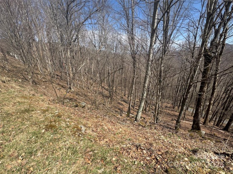 Property image 4 of 14 16 Overlook Drive in Wolf Laurel, Mars Hill, NC 28754