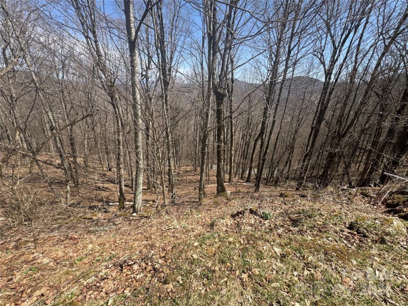 Property image 5 of 14 16 Overlook Drive in Wolf Laurel, Mars Hill, NC 28754