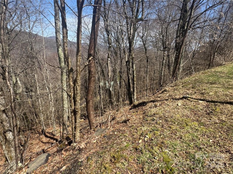 Property image 4 of 53 55 Running Cedar Drive in Wolf Laurel, Mars Hill, NC 28754