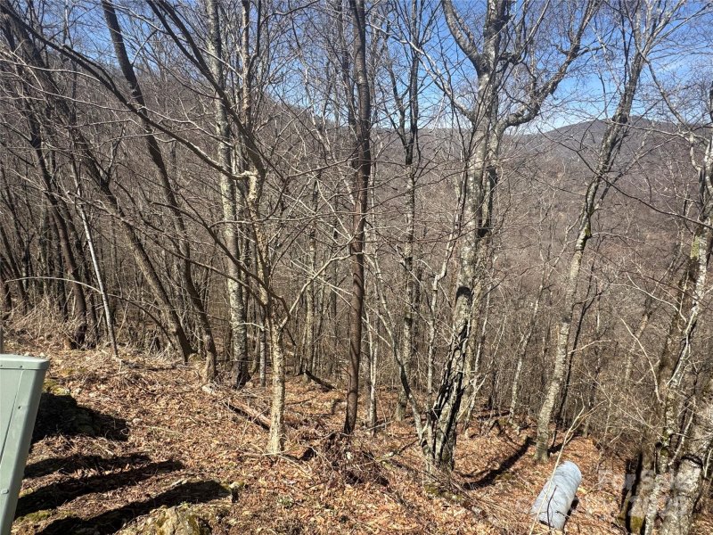Property image 5 of 53 55 Running Cedar Drive in Wolf Laurel, Mars Hill, NC 28754