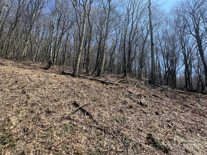 Property image 2 of 244 245 Grouse Thicket Lane in Wolf Laurel, Mars Hill, NC 28754