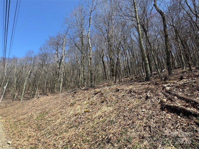 Property image 3 of 244 245 Grouse Thicket Lane in Wolf Laurel, Mars Hill, NC 28754