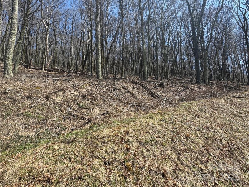 Property image 4 of 244 245 Grouse Thicket Lane in Wolf Laurel, Mars Hill, NC 28754