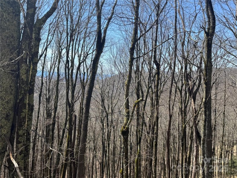 Property image 5 of 244 245 Grouse Thicket Lane in Wolf Laurel, Mars Hill, NC 28754