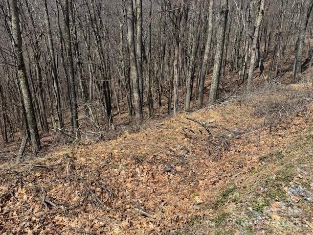 Property image 2 of 261 Grouse Thicket Lane in Wolf Laurel, Mars Hill, NC 28754