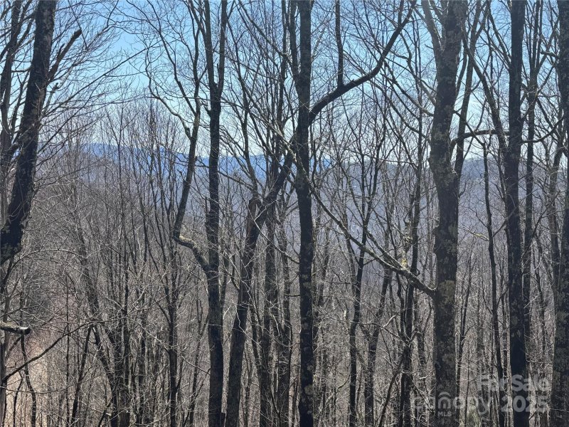 Property image 4 of 261 Grouse Thicket Lane in Wolf Laurel, Mars Hill, NC 28754