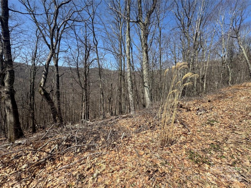 Property image 2 of 334 335 336 Hamlin Lane in Wolf Laurel, Mars Hill, NC 28754