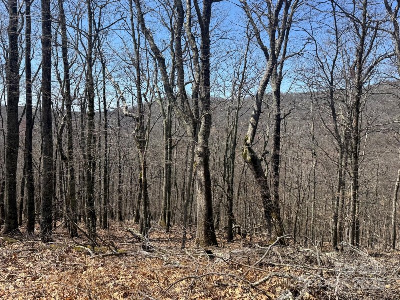 Property image 3 of 334 335 336 Hamlin Lane in Wolf Laurel, Mars Hill, NC 28754