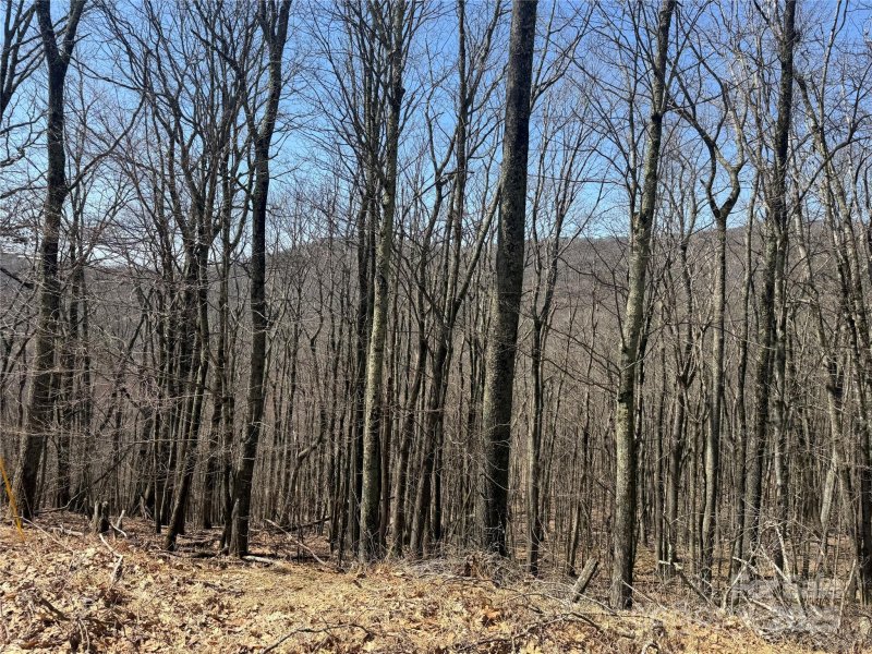 Property image 5 of 334 335 336 Hamlin Lane in Wolf Laurel, Mars Hill, NC 28754