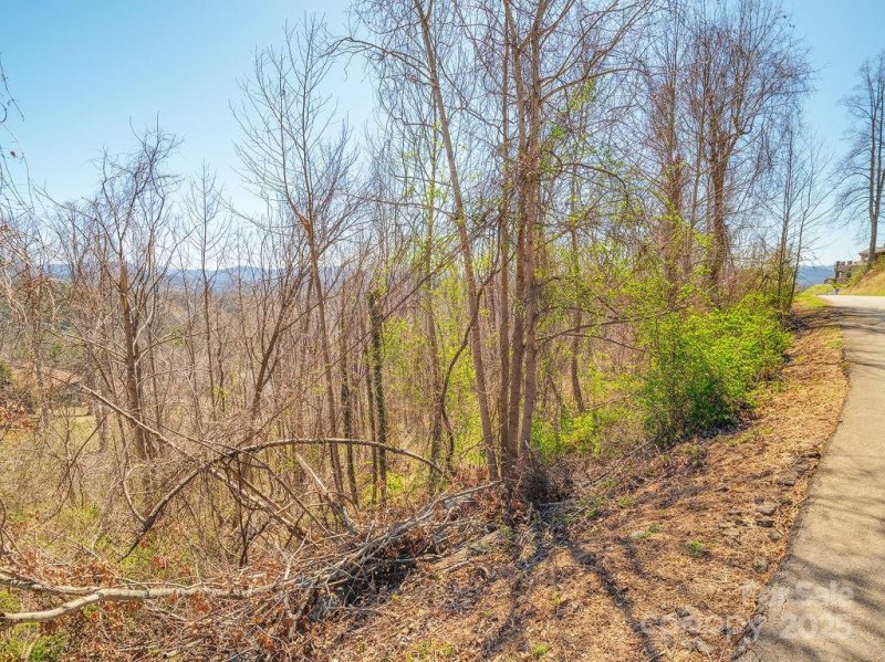 Property image 3 of 61 Ben Lippen School Road in Crest Mountain, Asheville, NC 28806
