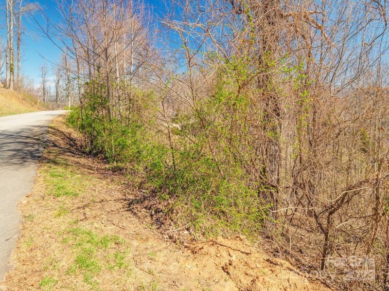 Property image 4 of 61 Ben Lippen School Road in Crest Mountain, Asheville, NC 28806