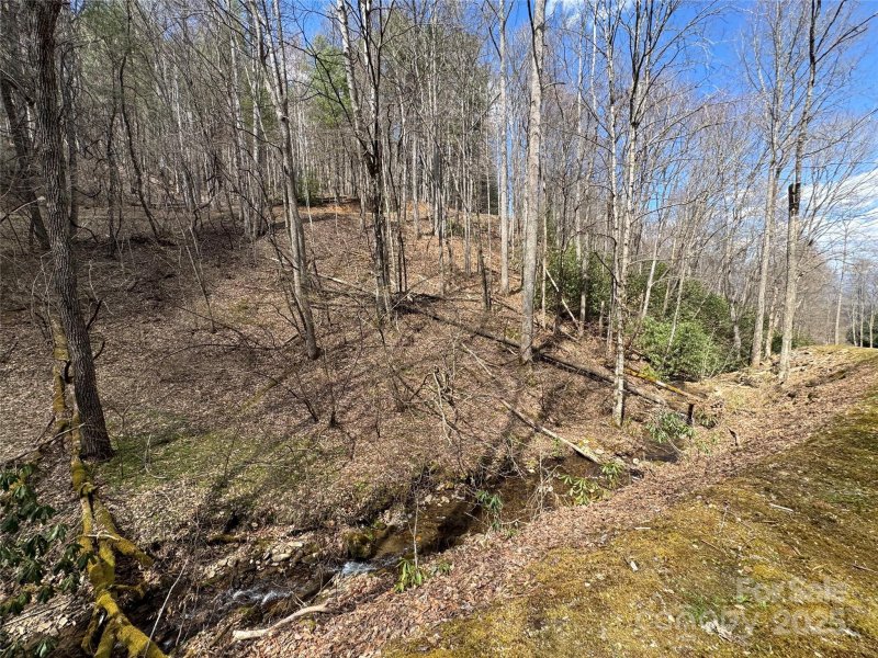 Property image 2 of 00 Thomas Brooks Drive in Coppermine Ridge, Whittier, NC 28789