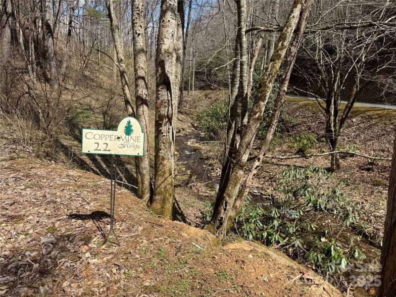 Property image 4 of 00 Thomas Brooks Drive in Coppermine Ridge, Whittier, NC 28789