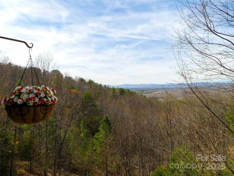 Property image 2 at 133 Saratoga Drive, Bostic, NC 28018