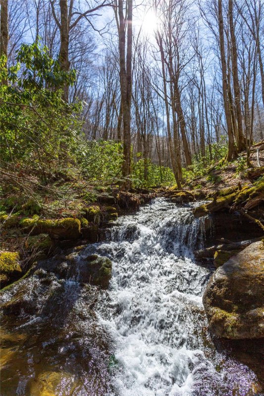 Property image 2 of Lot 48c Bearwallow Ridge Trail in Black Rock Creek, Qualla, NC 28719