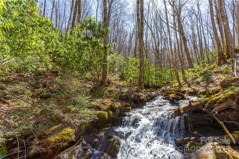 Property image 3 of Lot 48c Bearwallow Ridge Trail in Black Rock Creek, Qualla, NC 28719
