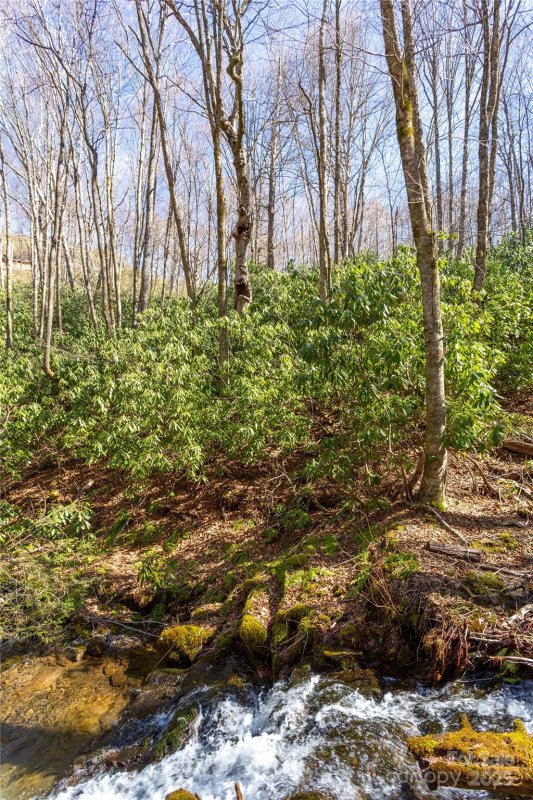 Property image 4 of Lot 48c Bearwallow Ridge Trail in Black Rock Creek, Qualla, NC 28719