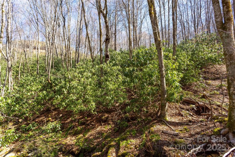 Property image 5 of Lot 48c Bearwallow Ridge Trail in Black Rock Creek, Qualla, NC 28719