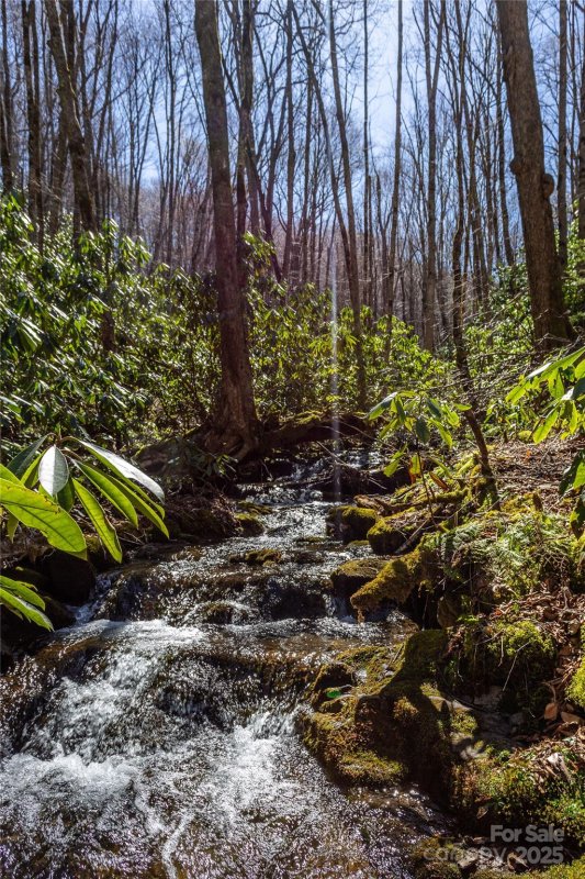 Property image 2 of Lot 50 Bearwallow Ridge Trail in Black Rock Creek, Qualla, NC 28719