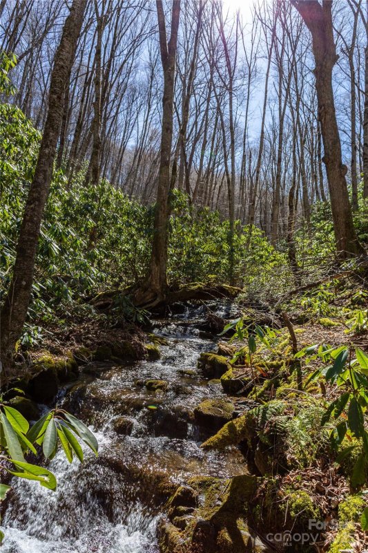 Property image 3 of Lot 50 Bearwallow Ridge Trail in Black Rock Creek, Qualla, NC 28719