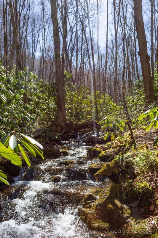 Property image 4 of Lot 50 Bearwallow Ridge Trail in Black Rock Creek, Qualla, NC 28719