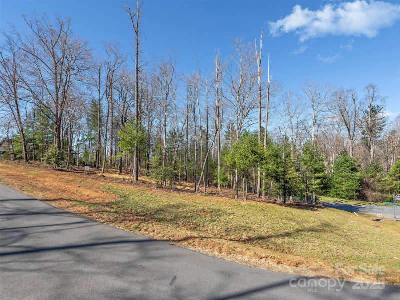 Property image 3 of 505 Hollow Trail in Ramble Biltmore Forest, Asheville, NC 28803