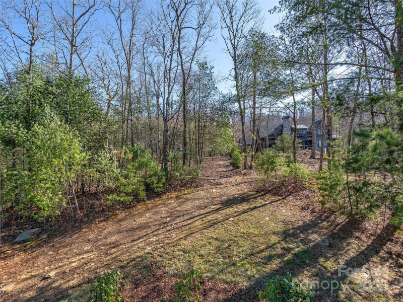 Property image 5 of 505 Hollow Trail in Ramble Biltmore Forest, Asheville, NC 28803